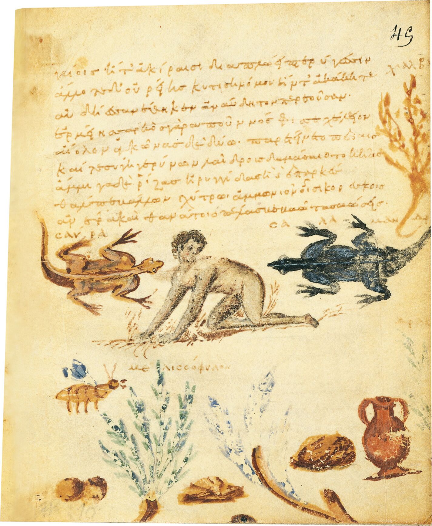 f. 45r