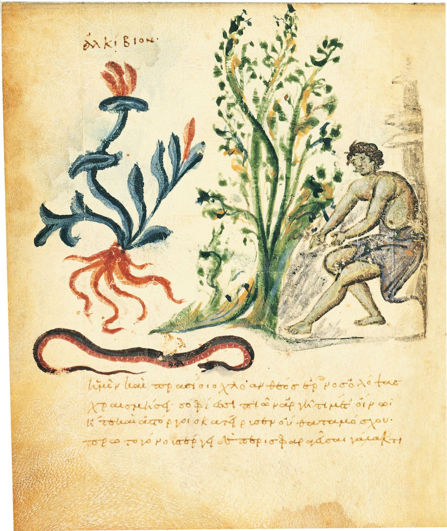 f. 16v