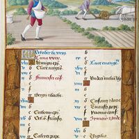 October. Sowing and Ploughing, f. 5v