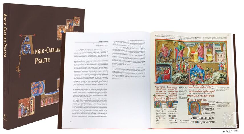 Livre d'étude du Psautier Anglo-Catalan  Le témoignage le plus brillant et le plus lucide de la meilleure peinture des XIIIe et XIVe siècles.